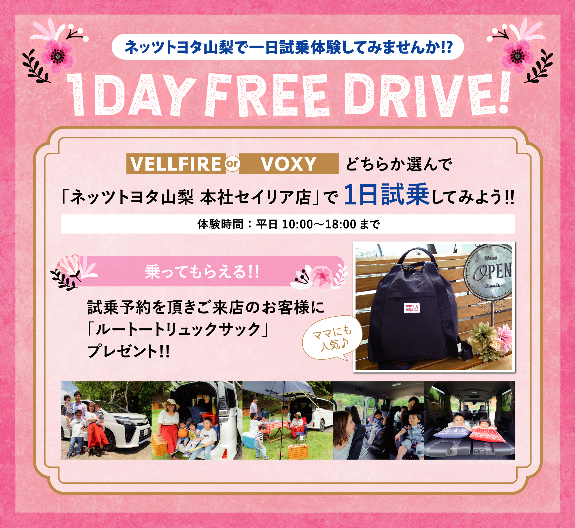 FreeDrive