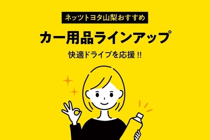 CAR RECON エアコン用交換カートリッジ 10本セット CAR RECON エアコン用交換カートリッジ 10本セット Amazon.co.jp